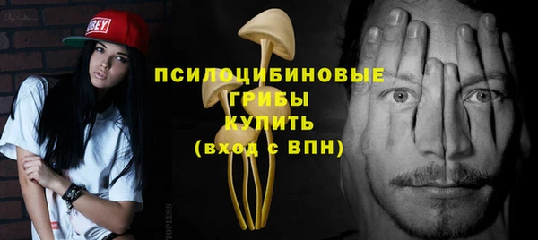 гидра Сафоново