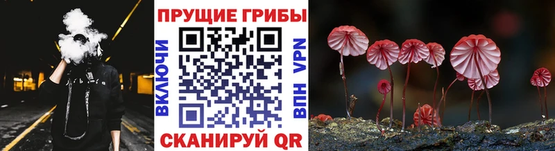 Галлюциногенные грибы Magic Shrooms  mega tor  Кольчугино 